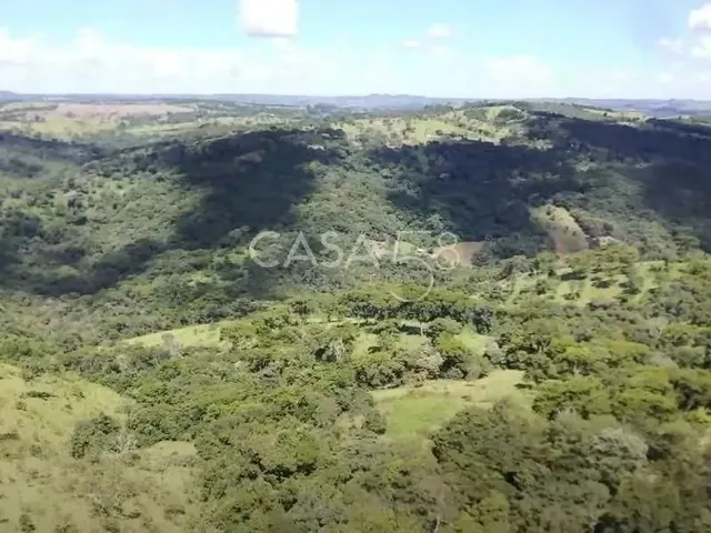 Imagem: Fazenda À Venda em Bonfinópolis Go 145