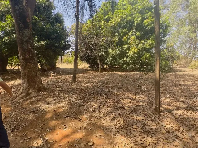 Imagem 8: Imóvel para Venda Tem 7000 Metros Quadrados com 3 Quartos em Setor Central - Aragoiânia