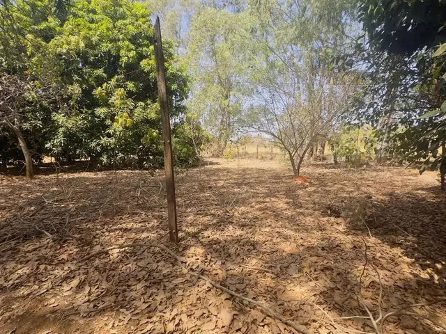 Imagem 12: Imóvel para Venda Tem 7000 Metros Quadrados com 3 Quartos em Setor Central - Aragoiânia