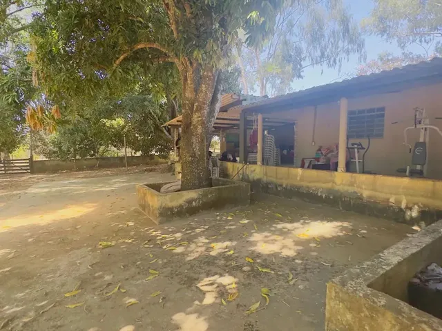 Imagem 11: Imóvel para Venda Tem 7000 Metros Quadrados com 3 Quartos em Setor Central - Aragoiânia