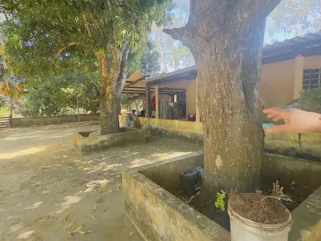 Imagem 10: Imóvel para Venda Tem 7000 Metros Quadrados com 3 Quartos em Setor Central - Aragoiânia