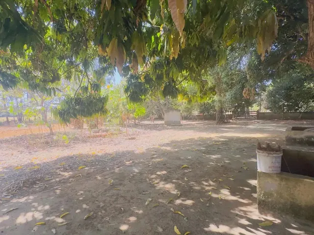 Imagem 6: Imóvel para Venda Tem 7000 Metros Quadrados com 3 Quartos em Setor Central - Aragoiânia