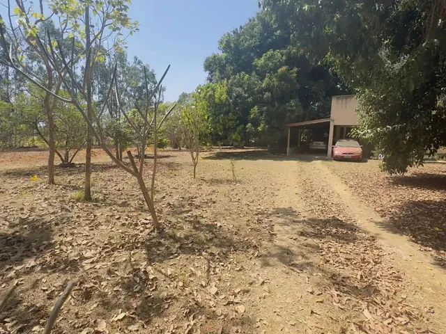 Imagem 13: Imóvel para Venda Tem 7000 Metros Quadrados com 3 Quartos em Setor Central - Aragoiânia