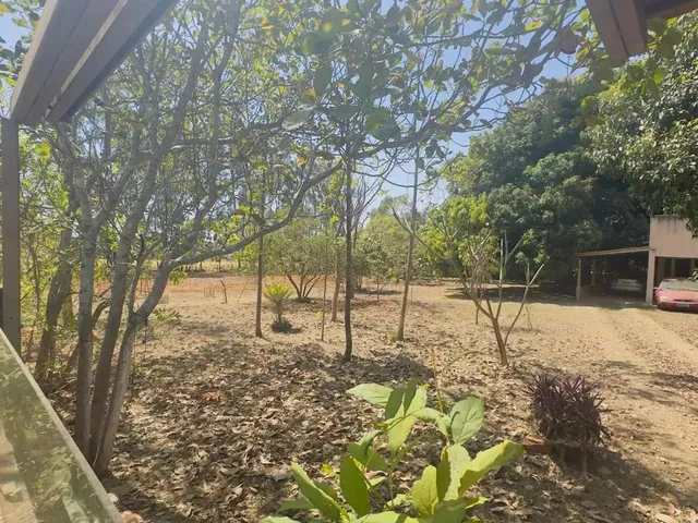 Imagem 9: Imóvel para Venda Tem 7000 Metros Quadrados com 3 Quartos em Setor Central - Aragoiânia