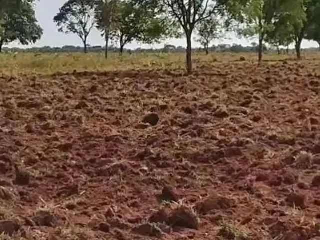 Imagem: Fazenda Goiás - Mara Rosa
