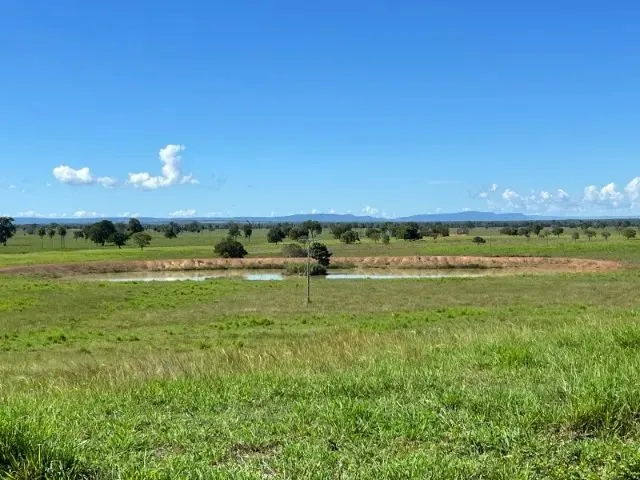 Imagem: Fazenda com 1.433 Hectares - Iaciara - Go
