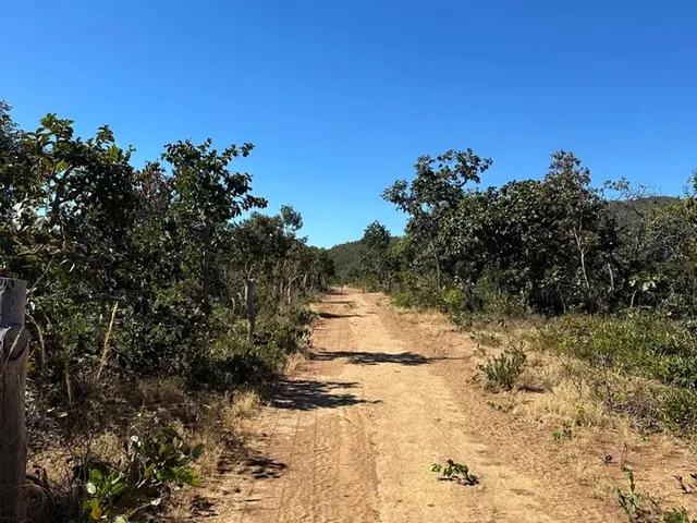 Imagem 16: Térreo em São Jorge - Chapada dos Veadeiros