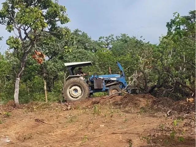 Imagem 15: Térreo em São Jorge - Chapada dos Veadeiros