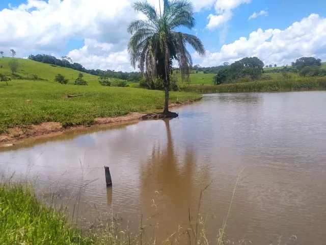 Imagem: Vende-Se Chácara de 06 Alqueires em Itauçu-Go