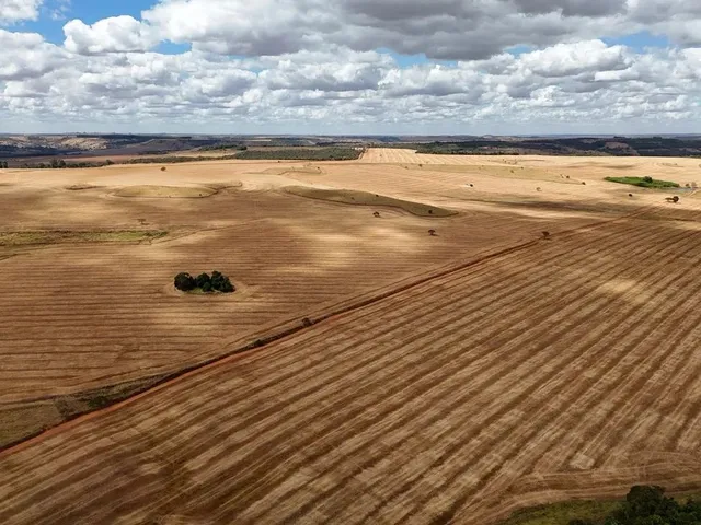 Imagem 1: Fazenda de 250 Alqueries