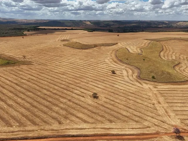 Imagem 14: Fazenda de 250 Alqueries