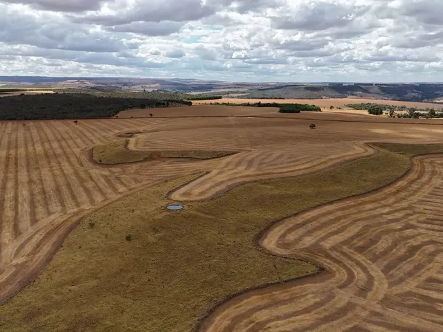 Imagem 3: Fazenda de 250 Alqueries