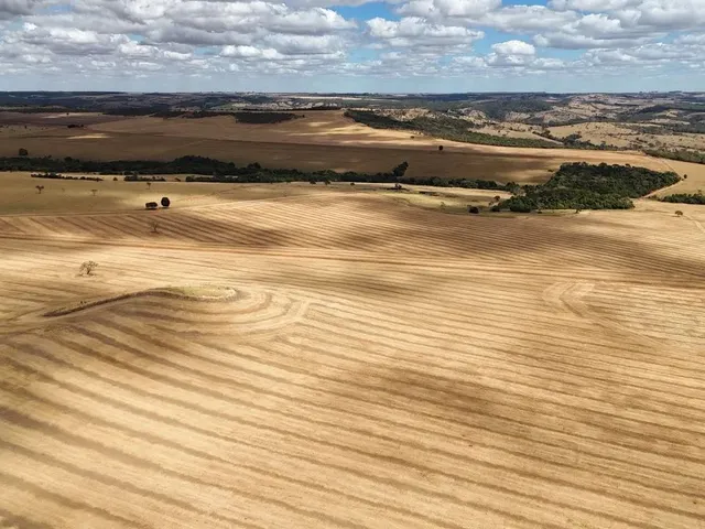 Imagem 6: Fazenda de 250 Alqueries