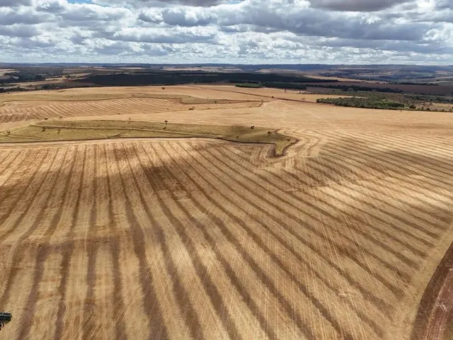 Imagem 13: Fazenda de 250 Alqueries