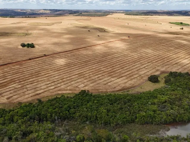 Imagem 7: Fazenda de 250 Alqueries