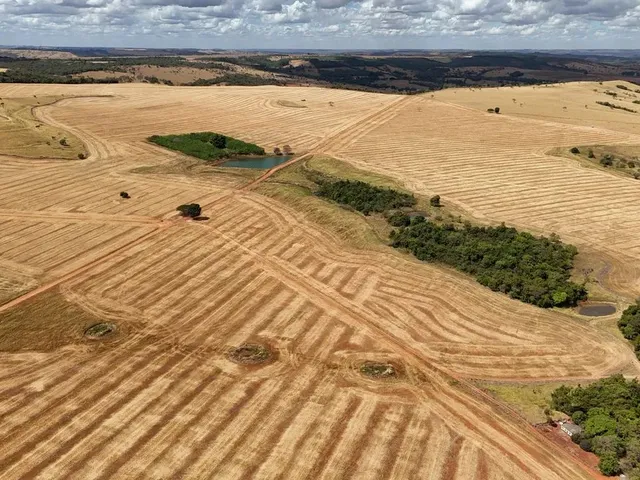 Imagem 8: Fazenda de 250 Alqueries