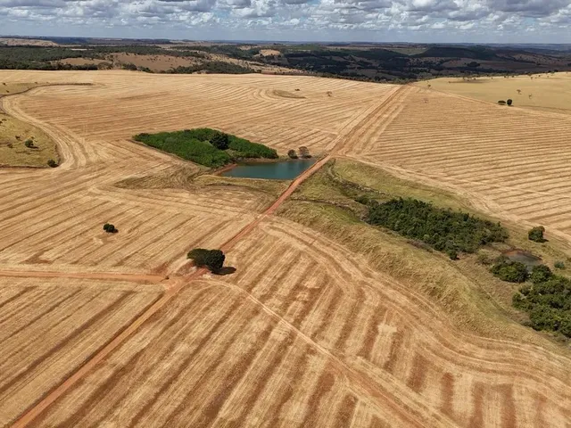 Imagem 16: Fazenda de 250 Alqueries