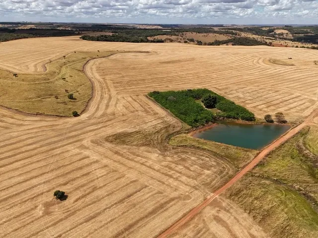 Imagem 4: Fazenda de 250 Alqueries