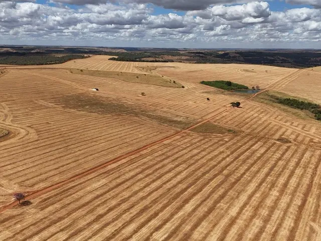 Imagem 5: Fazenda de 250 Alqueries