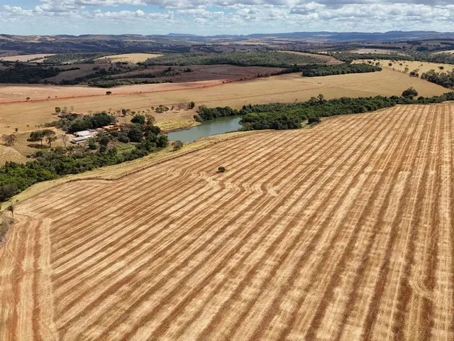 Imagem 10: Fazenda de 250 Alqueries