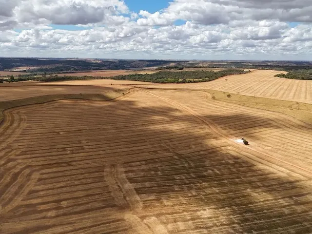 Imagem 9: Fazenda de 250 Alqueries