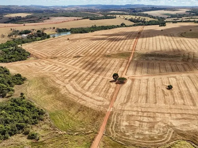 Imagem 11: Fazenda de 250 Alqueries
