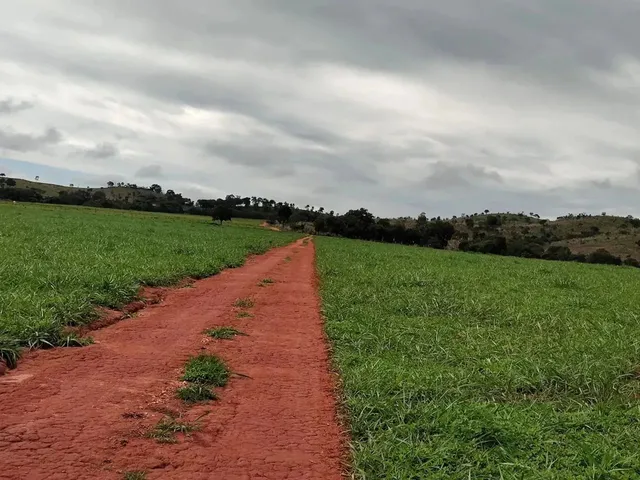 Imagem 9: Fazenda Á Venda 75 Alqueires Uruana - Go