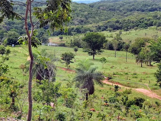 Imagem 13: Fazenda Á Venda 75 Alqueires Uruana - Go