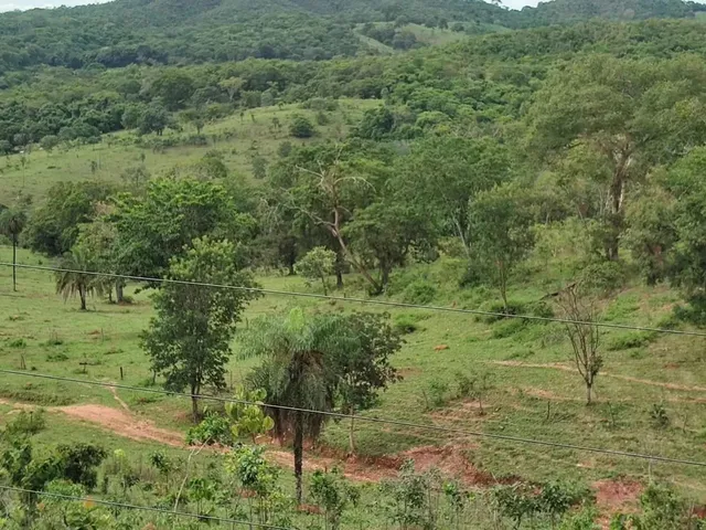 Imagem 8: Fazenda Á Venda 75 Alqueires Uruana - Go