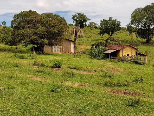 Imagem 5: Fazenda Á Venda 75 Alqueires Uruana - Go