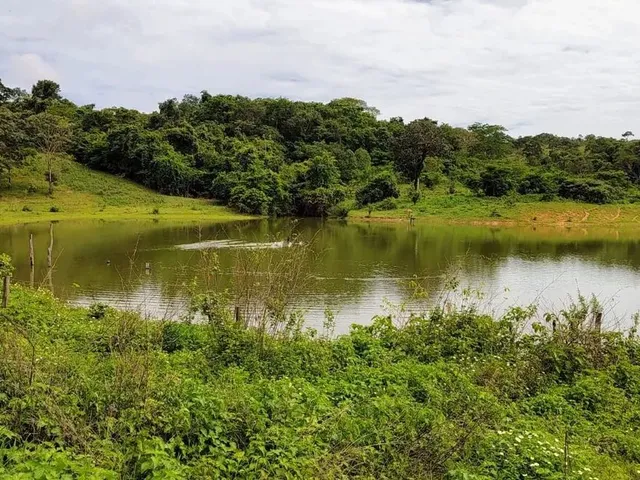 Imagem 6: Fazenda Á Venda 75 Alqueires Uruana - Go