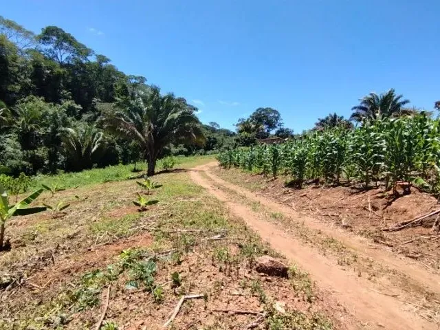 Imagem 1: Chácara 6,2 Hectares Formada Pirenópolis Goiás