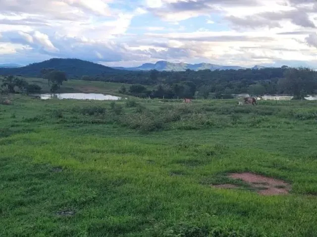 Imagem: Fazenda 354 Alqueires Colinas do Sul (Go