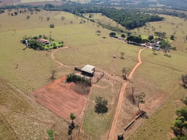 Imagem 5: Fazenda de 65 Alqueires em Pirenópolis-Go