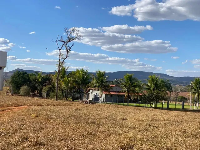 Imagem 8: Fazenda de 65 Alqueires em Pirenópolis-Go