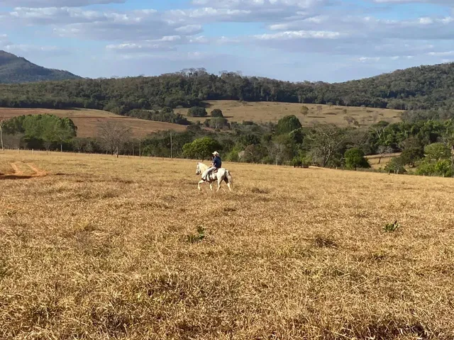 Imagem 2: Fazenda de 65 Alqueires em Pirenópolis-Go