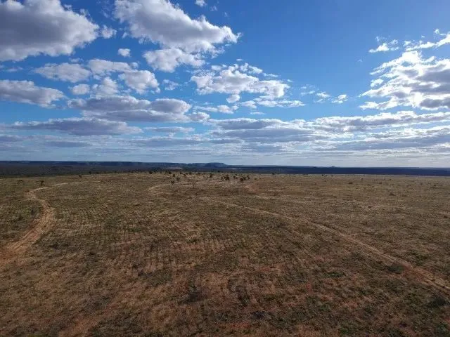 Imagem: Fazenda Toda Plana em Mambaí (Go) 950