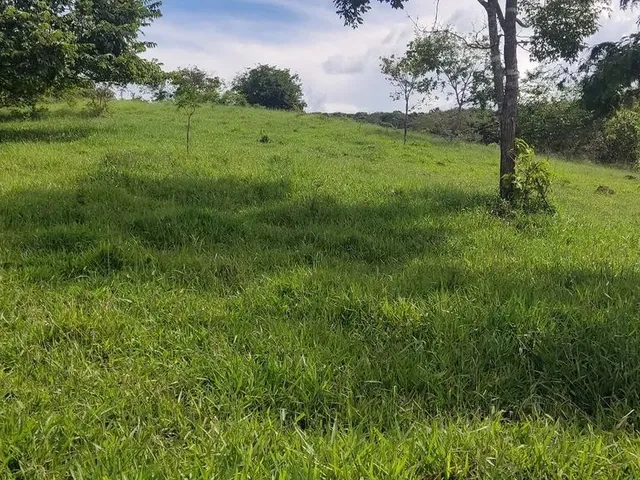 Imagem: Chácara Próximo a Anápolis 03 Alqueires