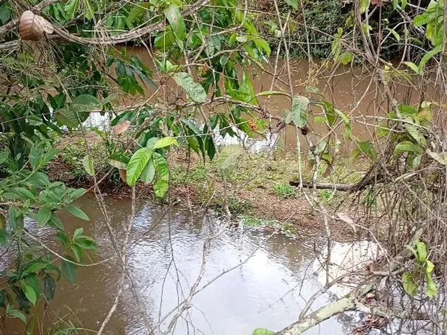 Imagem: Chácara 2 He em Alexania Go