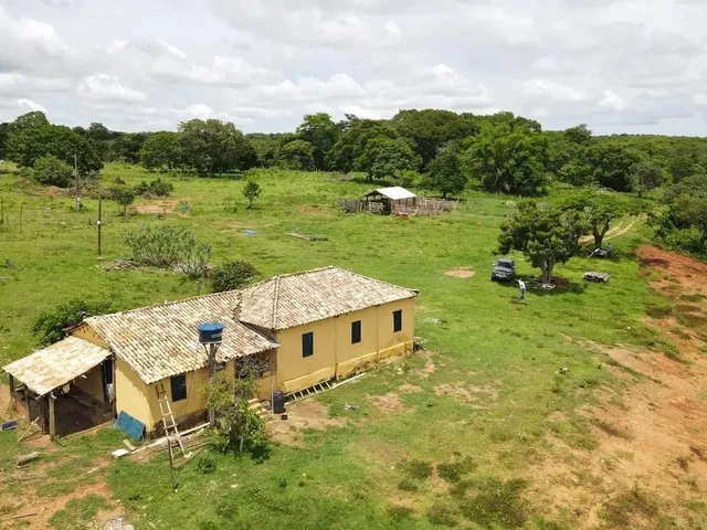 Imagem: Fazenda