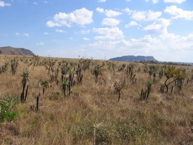 Imagem: A chácara possui 40.000m² de Área e está localizado em