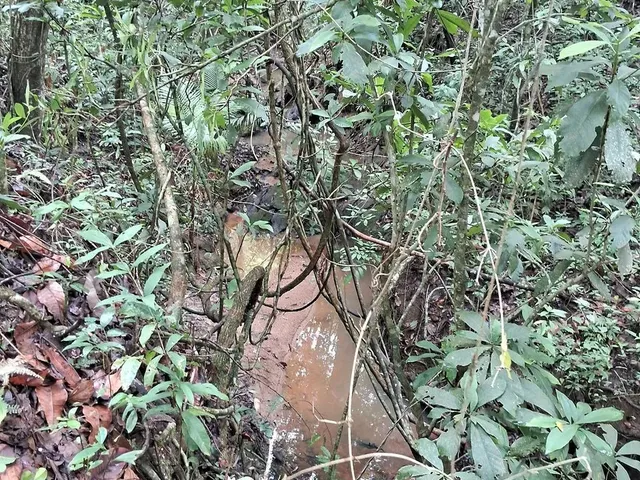 Imagem 2: Sítios e Chacaras Anápolis
