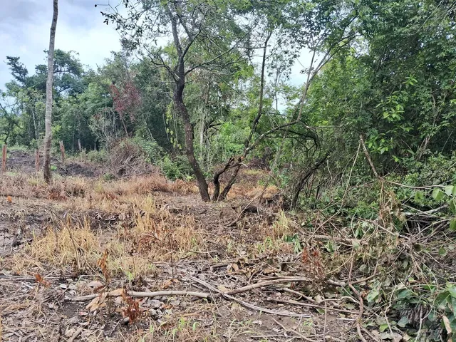 Imagem 4: Sítios e Chacaras Anápolis