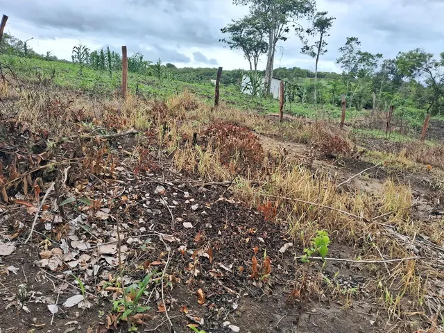 Imagem 6: Sítios e Chacaras Anápolis