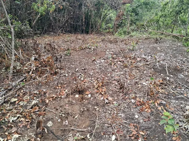 Imagem 7: Sítios e Chacaras Anápolis