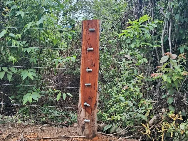 Imagem 9: Sítios e Chacaras Anápolis