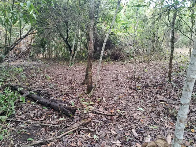 Imagem 15: Sítios e Chacaras Anápolis