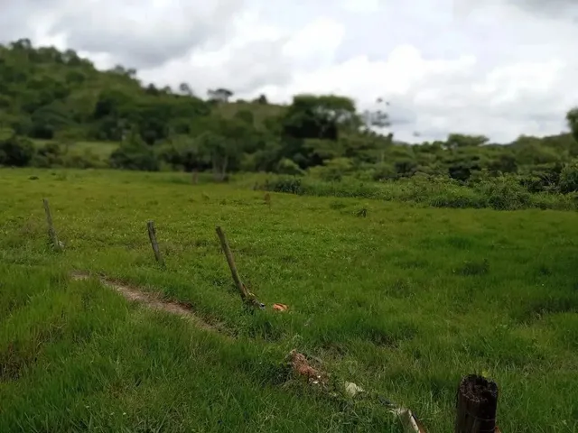 Imagem 1: Fagenda À Venda em Campinaçu