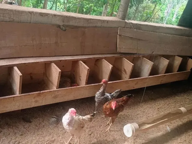 Imagem 12: Chácara no Monzondo Planaltina-Go com 17 Hectares