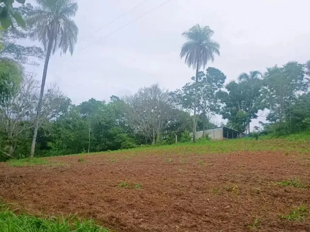 Imagem 11: Chácara no Monzondo Planaltina-Go com 17 Hectares